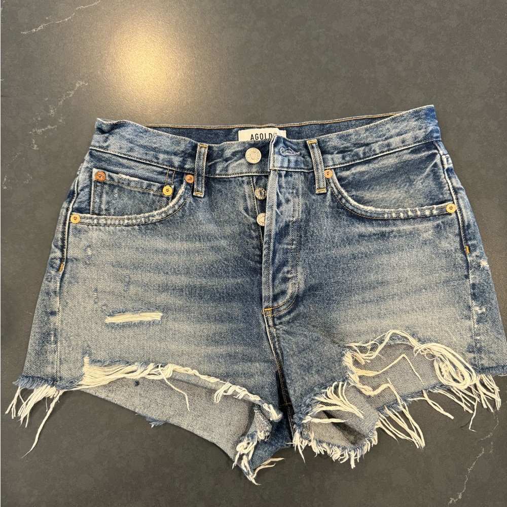 Agolde Parker Shorts